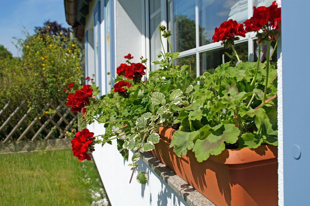 Ferienwohnanlage Brückner Apartamento Rostock Exterior foto